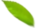 香蕉黄色电影滲濾液處理